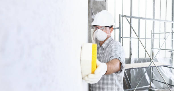 Mold Odor Removal Services in North Hornell, NY